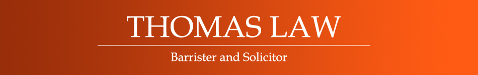 partner + partners: your professionals in law